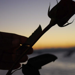 Meet your Posher, Nicelina